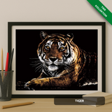 TIERE